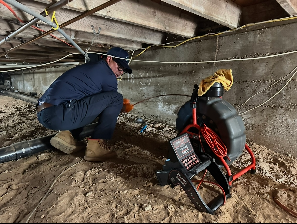 Root removal from sewer line